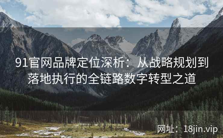 91官网品牌定位深析：从战略规划到落地执行的全链路数字转型之道