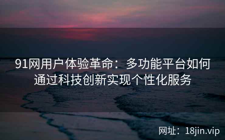 91网用户体验革命:多功能平台如何通过科技创新实现个性化服务 91网用户体验革命:多功能平台如何通过科技创新实现个性化服务